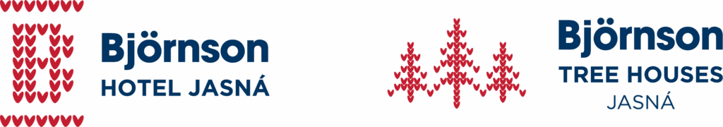 logo partnera